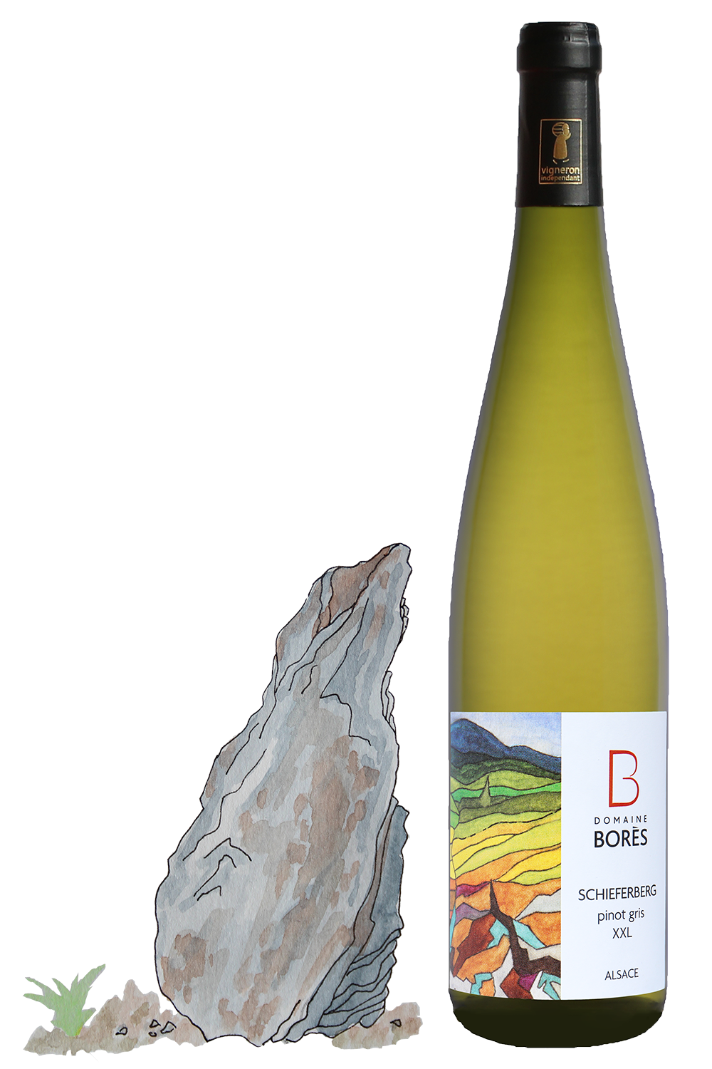 Pinot Gris Cuvée XXL Schieferberg_Dessin Pinot Gris Schieferberg XXL 2022 – Image 1