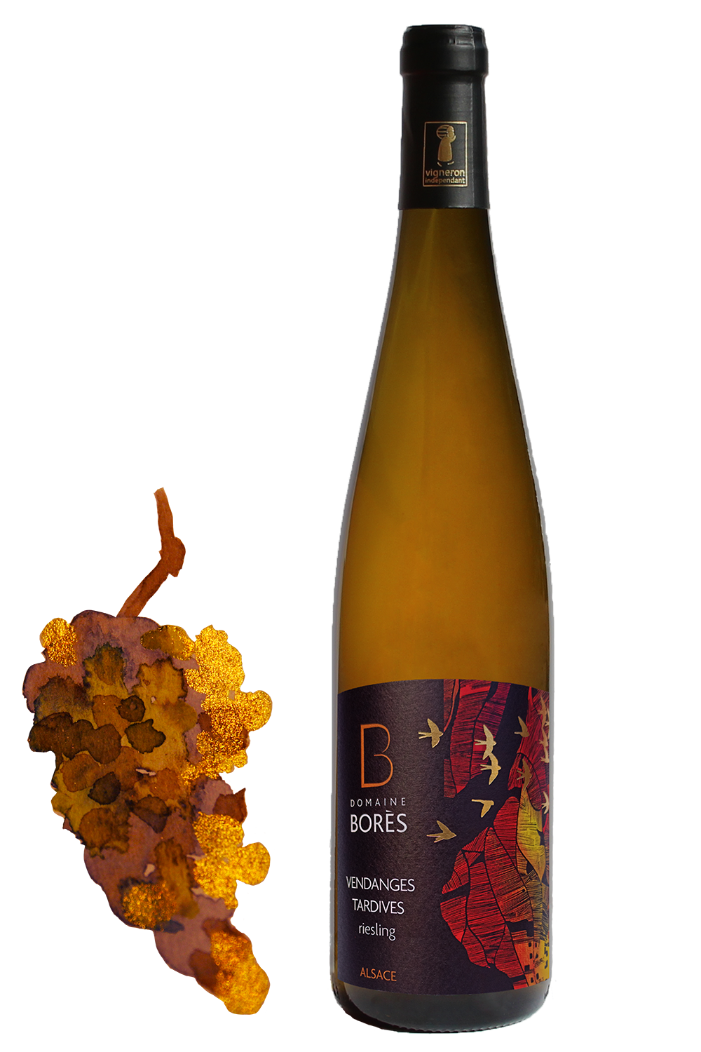 Riesling Vendanges Tardives_Dessin Riesling Schieferberg Vendanges Tardives 2020 – Image 1